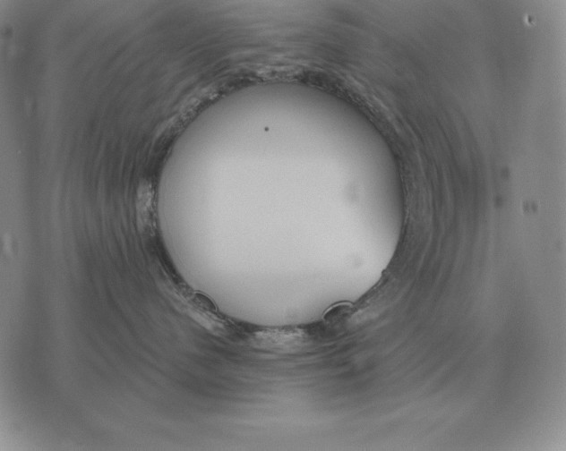 X0000070360480200606301835