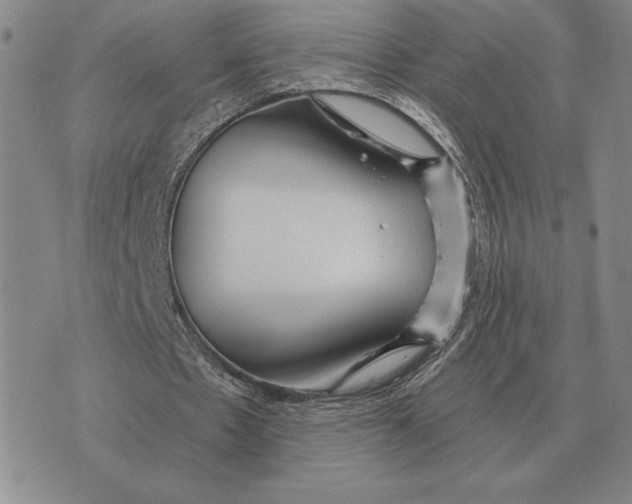 X0000070360481200606301834