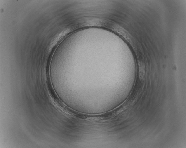 X0000070360482200606301834