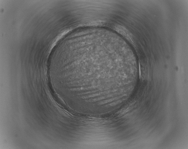 X0000070360483200606301834