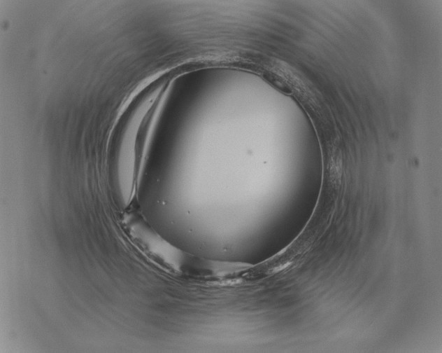 X0000070360484200606301834