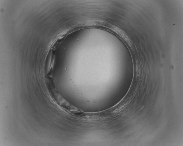 X0000070360485200606301834