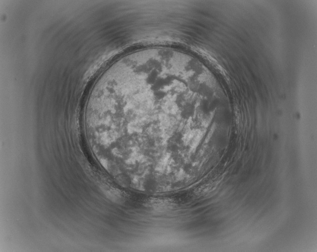 X0000070360487200606301834