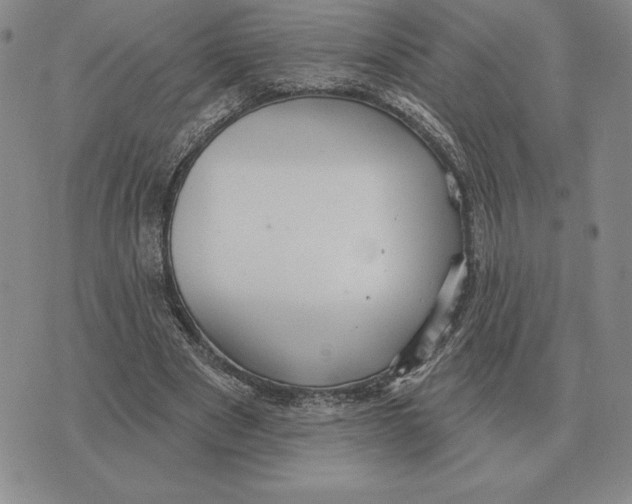 X0000070360489200606301834