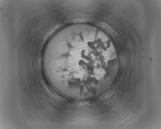 X0000070360491200606301834