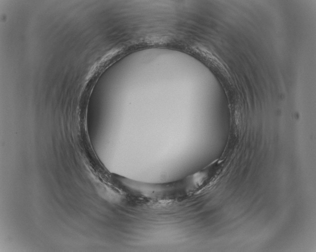 X0000070360492200606301834