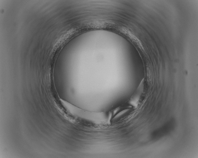 X0000070360493200606301834