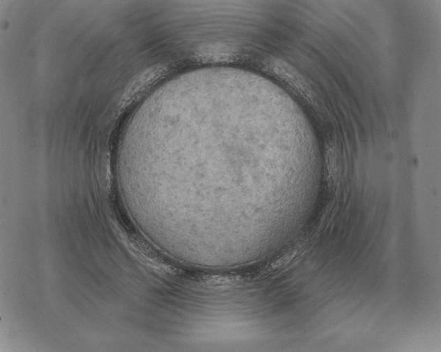 X0000070360494200606301834