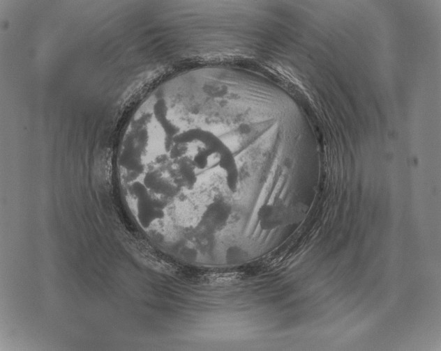 X0000070360495200606301834