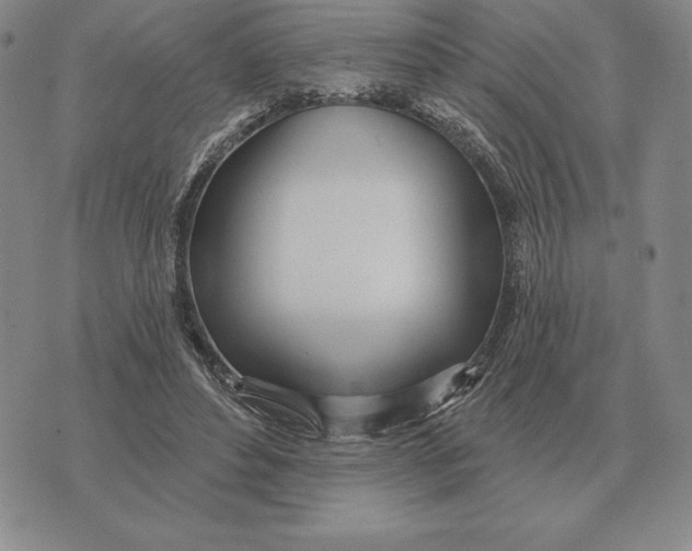 X0000070360496200606301834