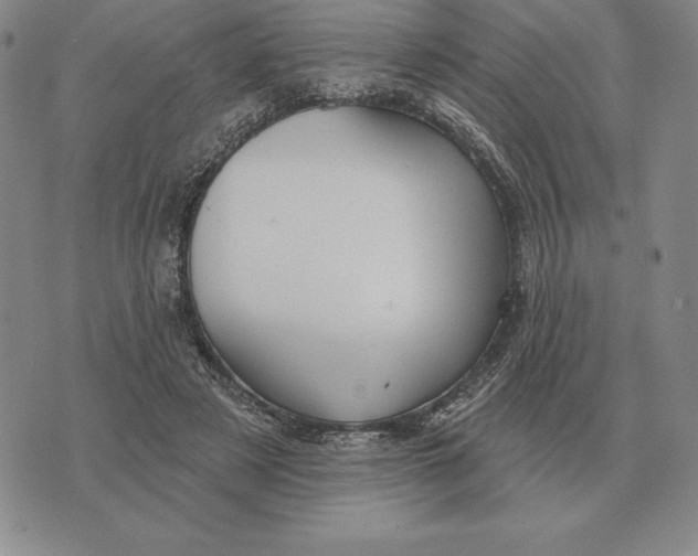 X0000070360497200606301834