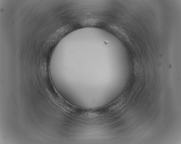 X0000070360498200606301834