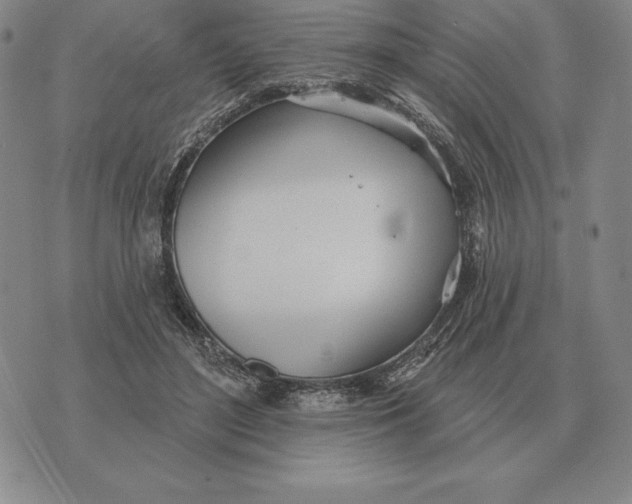 X0000070360500200606301834