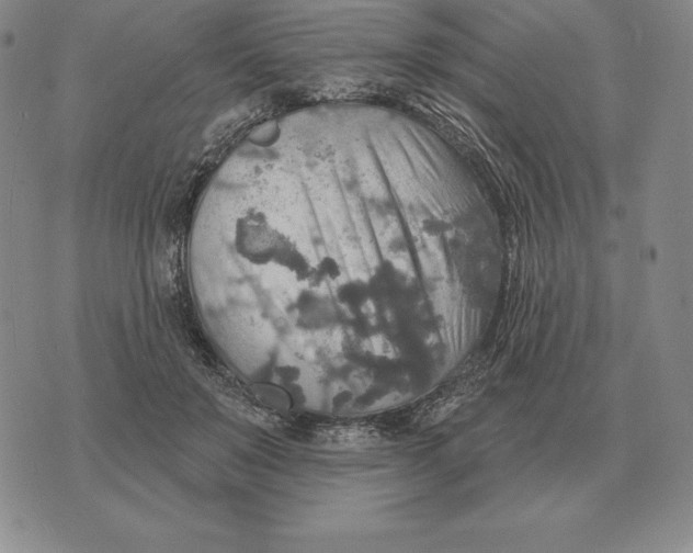 X0000070360503200606301834