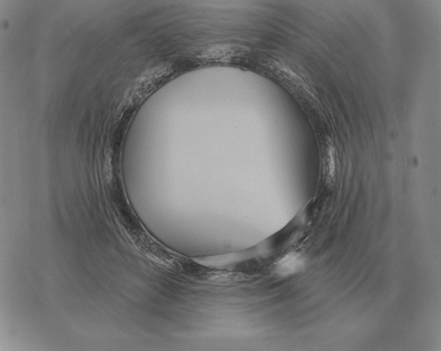 X0000070360504200606301834