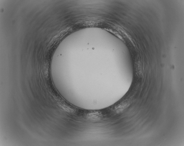 X0000070360505200606301834