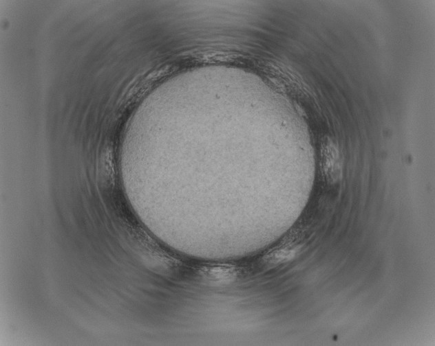 X0000070360506200606301834