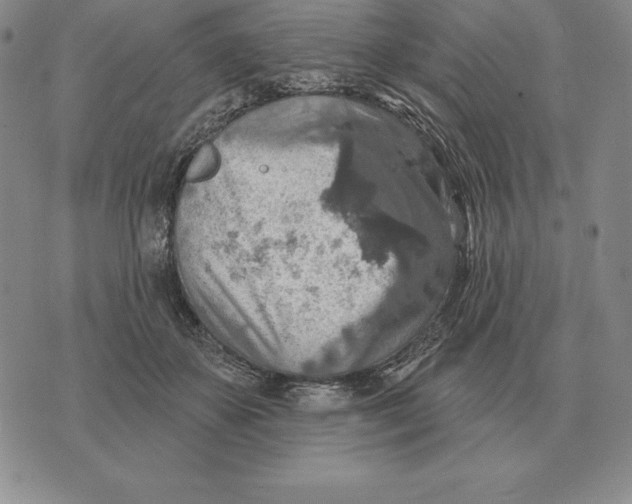 X0000070360507200606301834