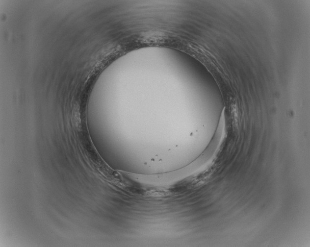 X0000070360508200606301834