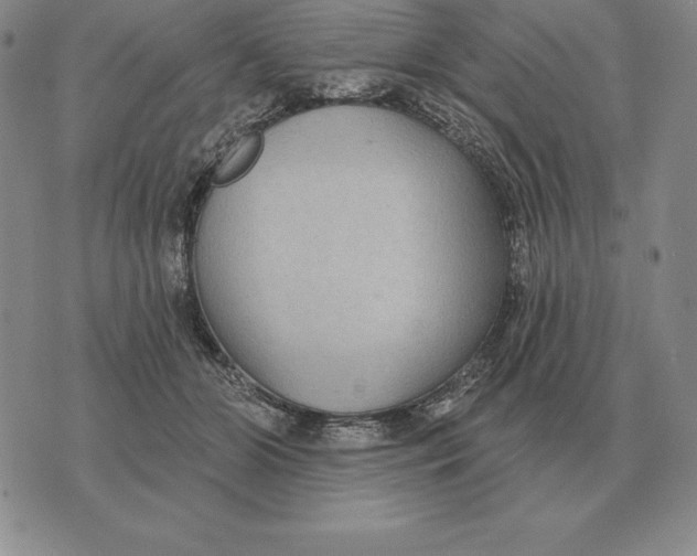 X0000070360510200606301834