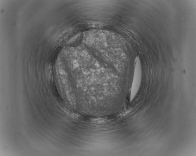 X0000070360511200606301834