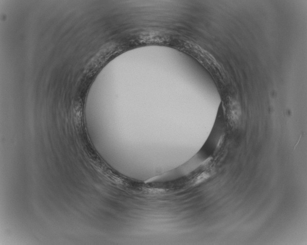 X0000070360513200606301834