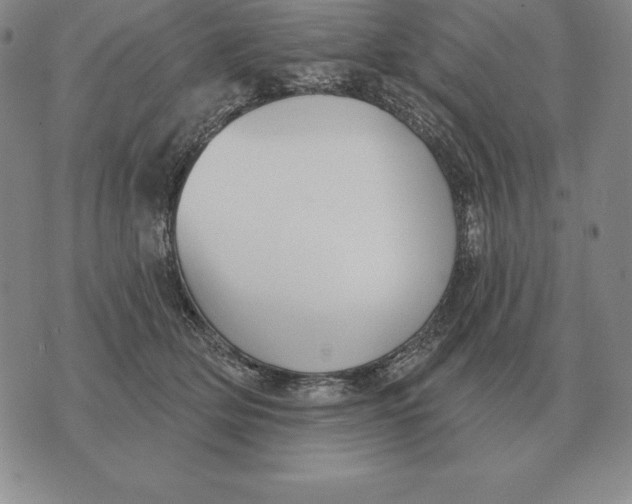 X0000070360514200606301834