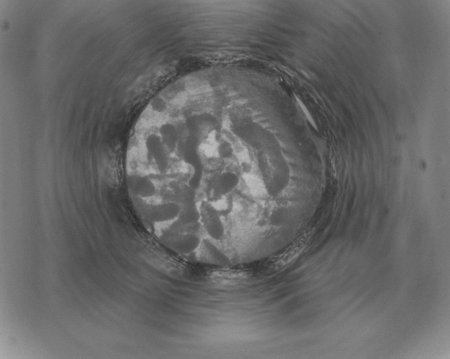 X0000070360515200606301834