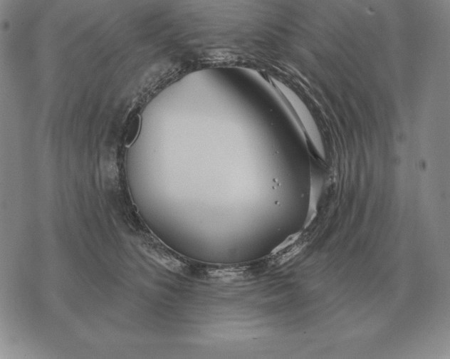 X0000070360516200606301834