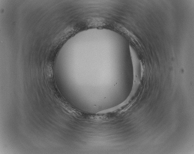 X0000070360517200606301834