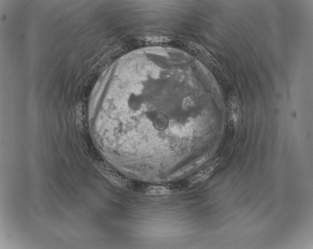 X0000070360519200606301834