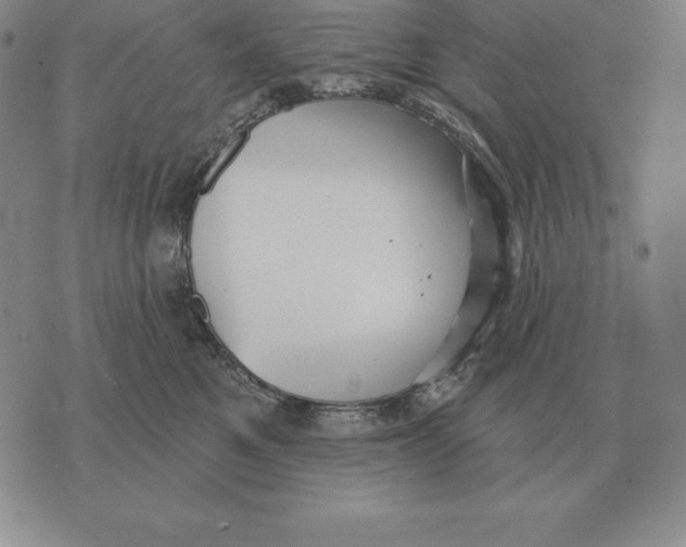 X0000070360521200606301834