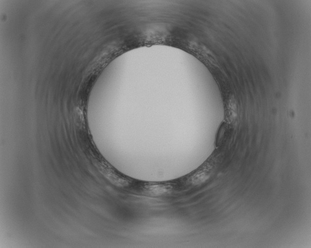 X0000070360522200606301834