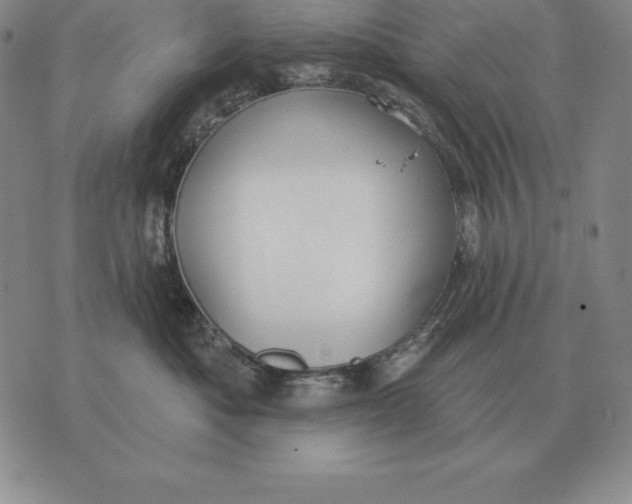 X0000070360525200606301834