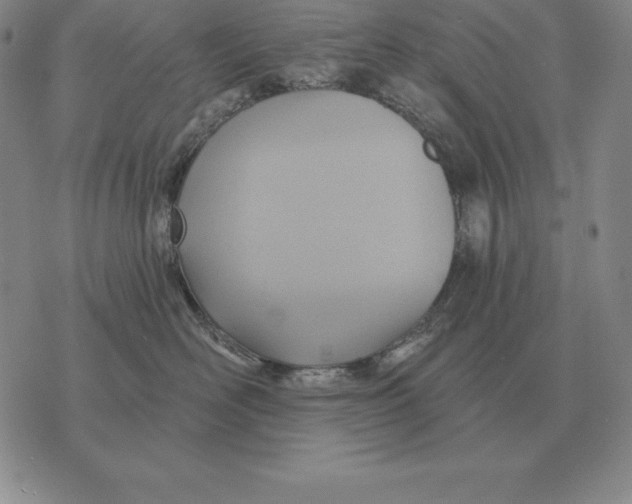 X0000070360526200606301834