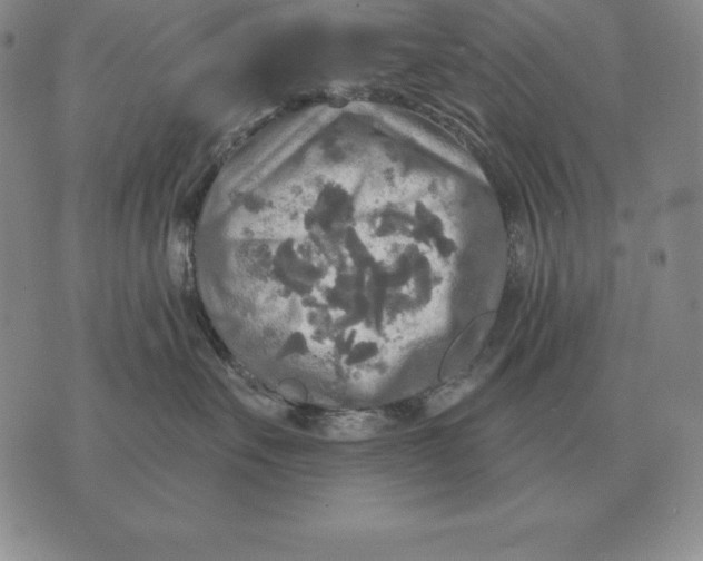 X0000070360527200606301834