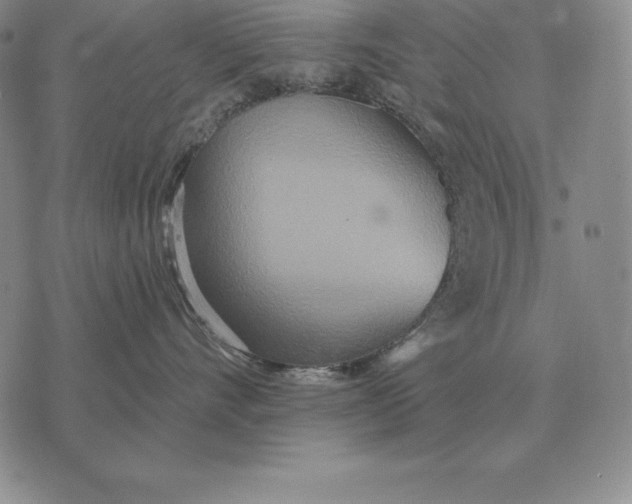 X0000070360528200606301834