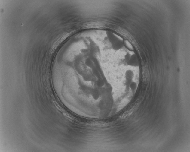 X0000070360529200606301833