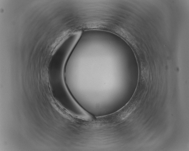 X0000070360530200606301833