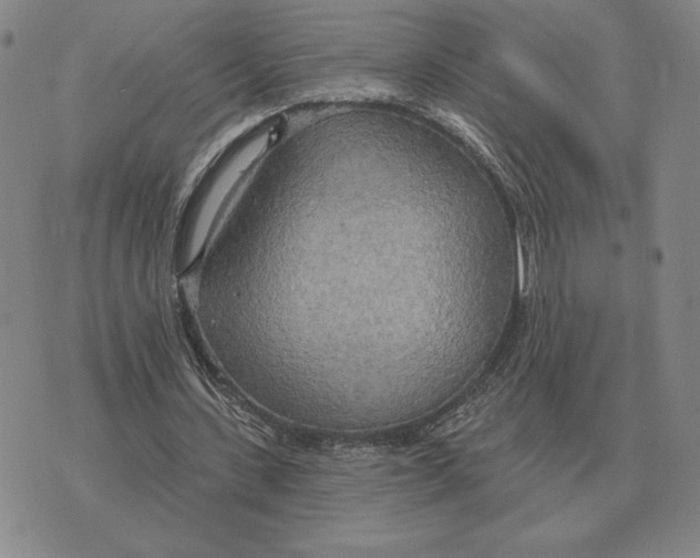 X0000070360531200606301833