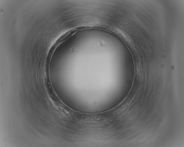 X0000070360532200606301833