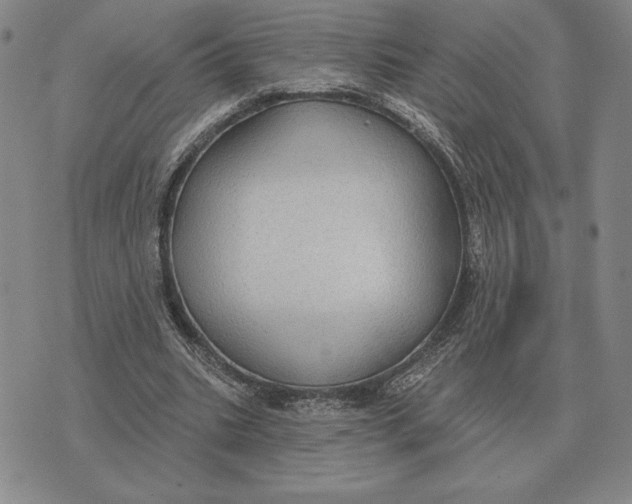 X0000070360535200606301833