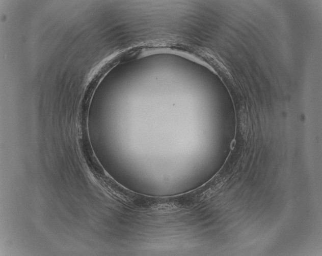 X0000070360536200606301833