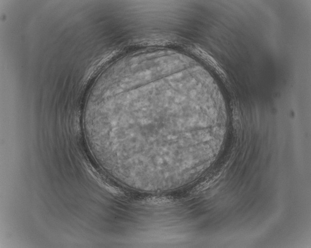 X0000070360537200606301833