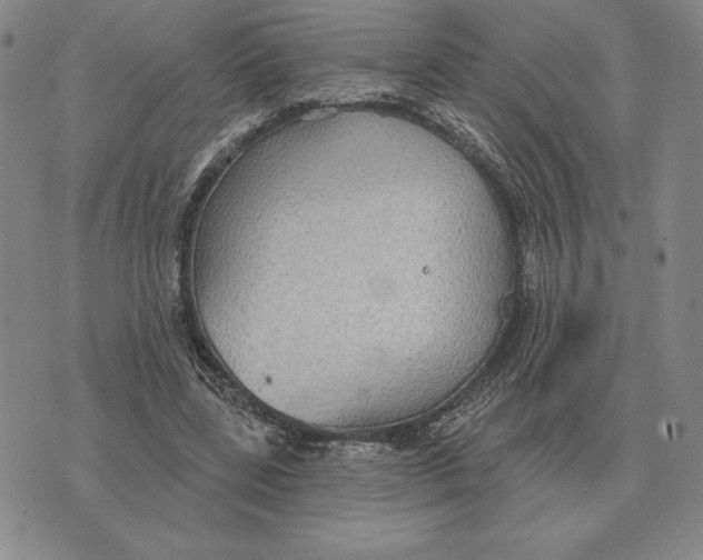 X0000070360539200606301833