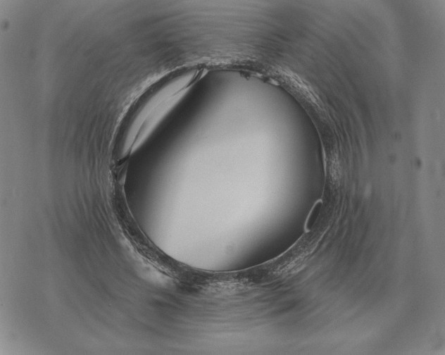 X0000070360540200606301833