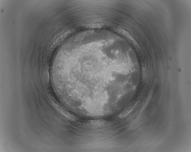 X0000070360541200606301833