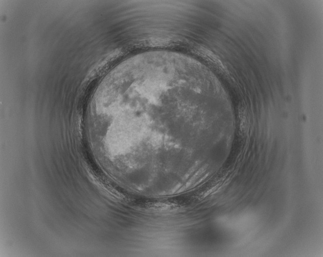 X0000070360542200606301833