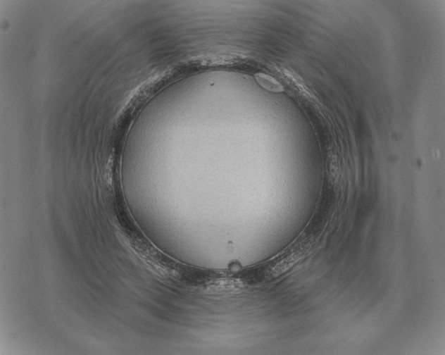 X0000070360543200606301833