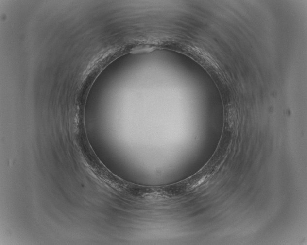 X0000070360544200606301833